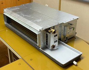 فن کوئل ساری پویا